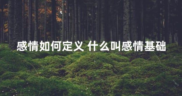 感情如何定义 什么叫感情基础